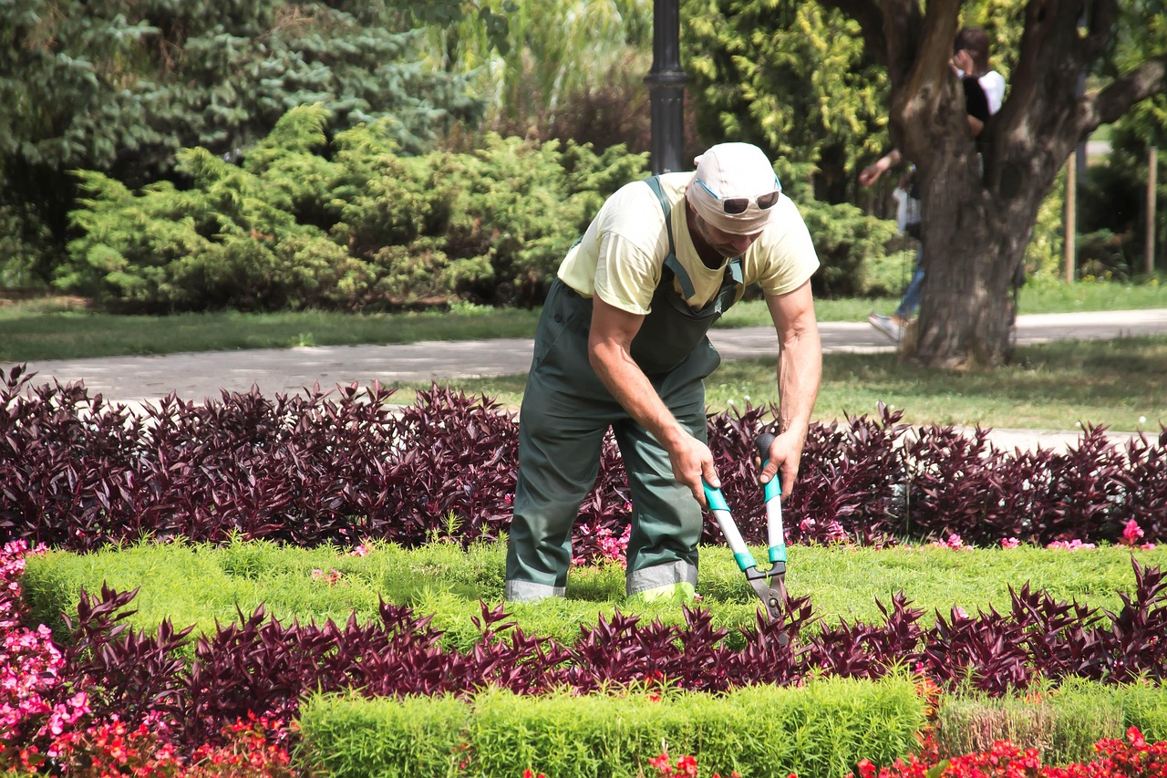 Un jardinier qui travaille